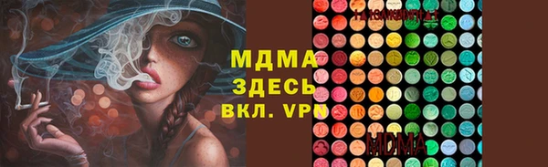 гашик Козельск