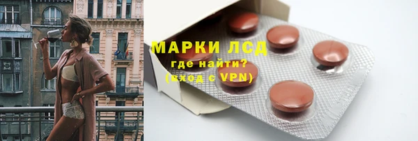 ПСИЛОЦИБИНОВЫЕ ГРИБЫ Козловка