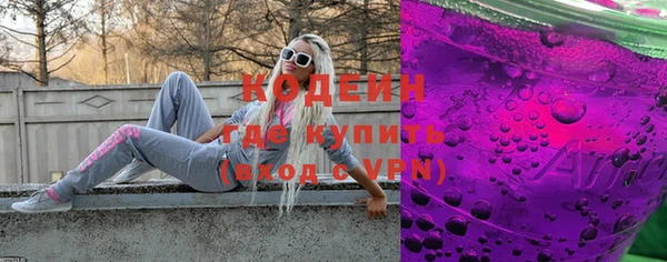гашик Козельск