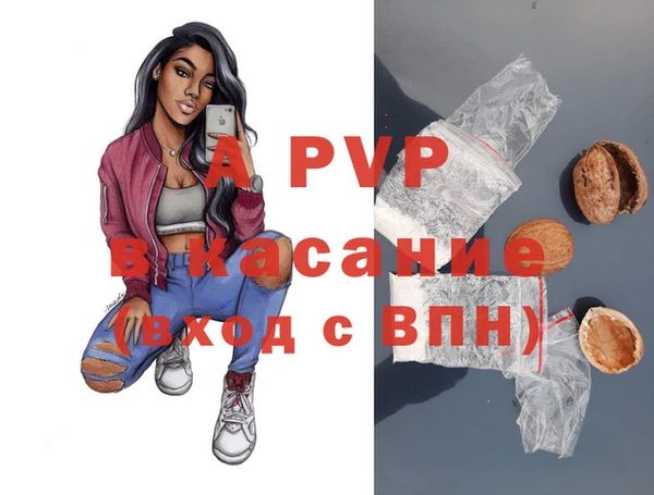 ПСИЛОЦИБИНОВЫЕ ГРИБЫ Козловка