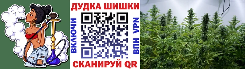 как найти   Кириллов  МАРИХУАНА семена 